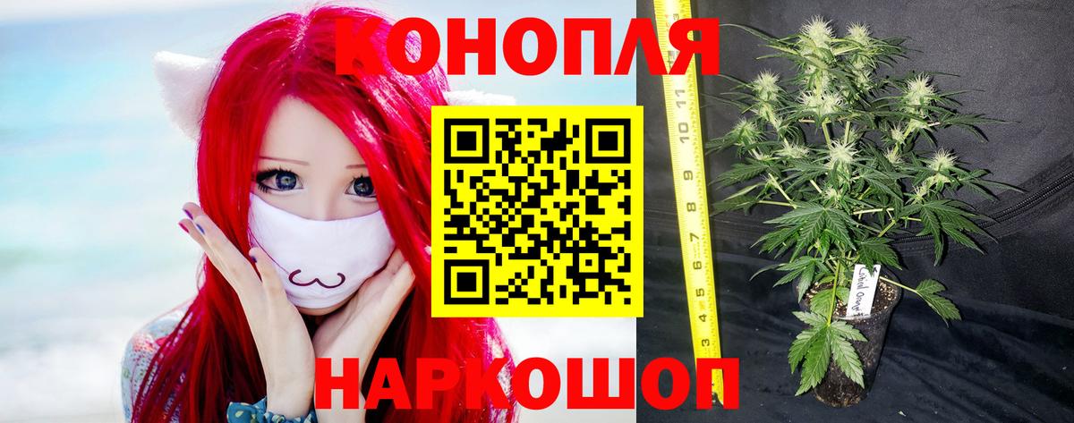 Марихуана ГИДРОПОН  Вход с VPN  Марихуана OG Kush  Барабинск  МАРИХУАНА THC 21% 